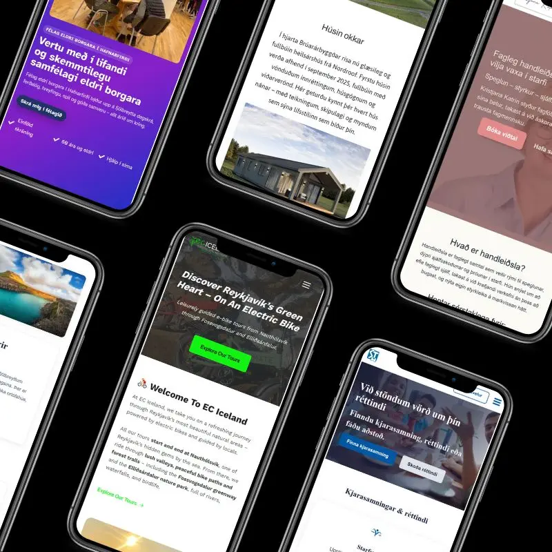 Dæmi um vefsíður hannaðar af Vefskjól